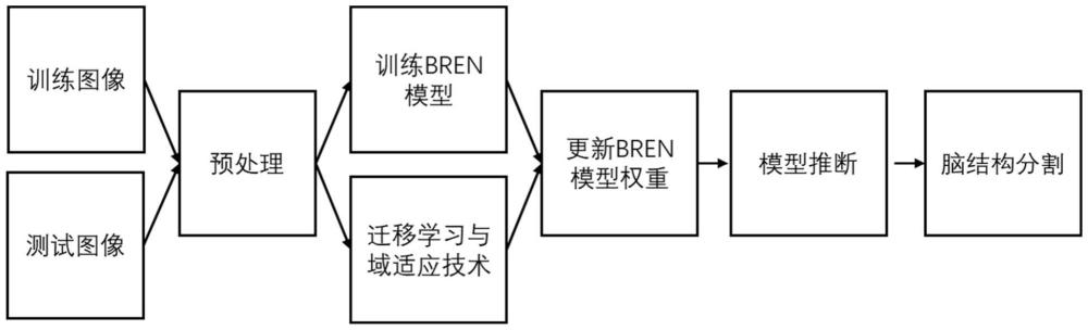 一種多中心適用的人腦磁共振圖像腦結(jié)構(gòu)自動分割方法