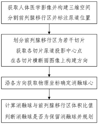 基于醫(yī)學(xué)影像的前列腺移行區(qū)蒸汽消融規(guī)劃方法及系統(tǒng)與流程