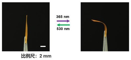 液晶高分子及其制備方法、薄膜材料、微流控芯片與設備