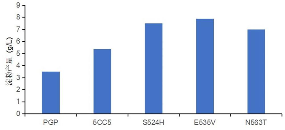 α-葡聚糖磷酸化酶5CC5單位點(diǎn)突變體E535V及其制備方法和應(yīng)用