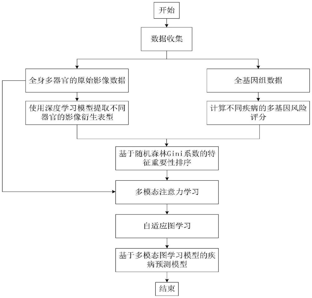 一種基于多模態(tài)圖學習模型的疾病風險預測方法