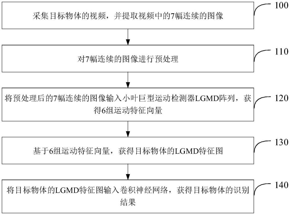 仿生昆蟲視覺的目標識別方法、裝置和電子設備