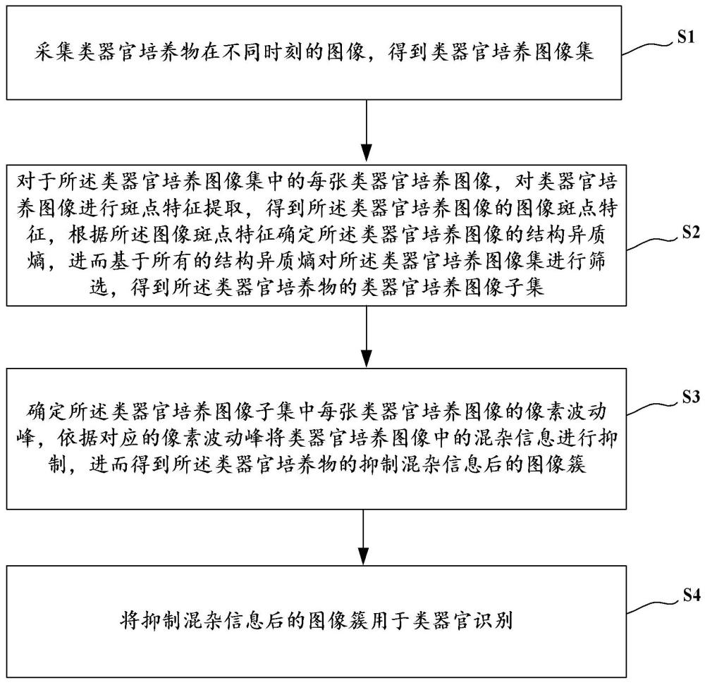 一種用于類器官識別的圖像處理方法及其處理系統(tǒng)