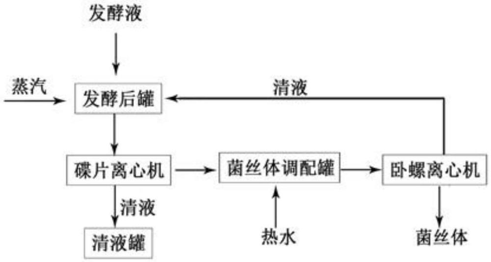 一種L-乳酸發(fā)酵液中菌絲體分離和乳酸凈化的方法與流程