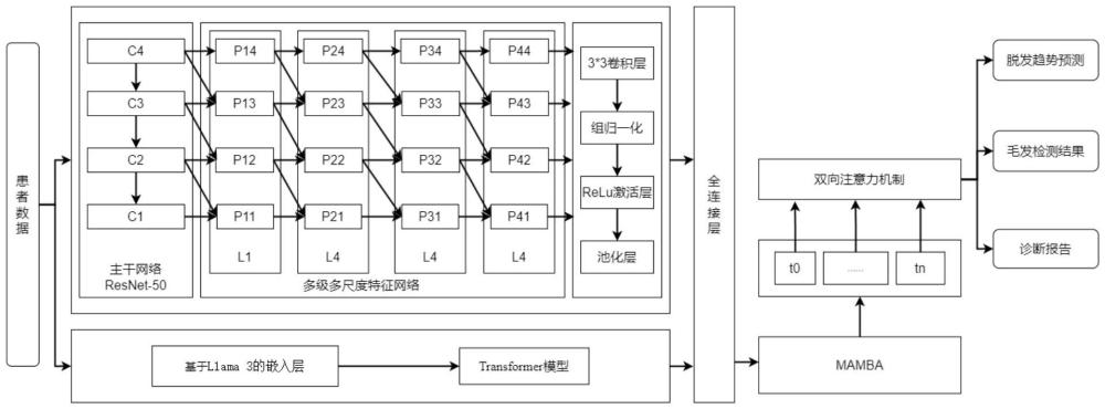 一種多模態(tài)特征提取的雄激素性脫發(fā)檢測(cè)方法