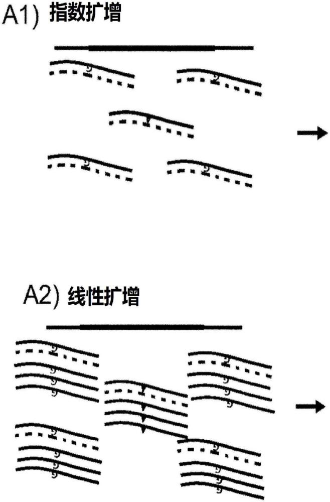 檢測靶核酸序列的方法與流程