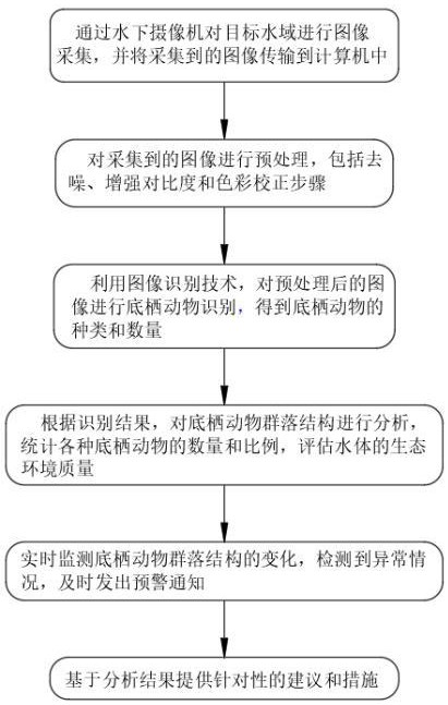 一種基于圖像識(shí)別的底棲動(dòng)物群落結(jié)構(gòu)識(shí)別方法及系統(tǒng)