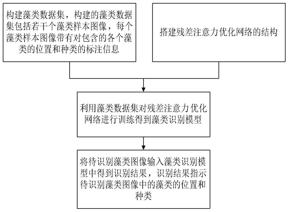 一種基于殘差注意力優(yōu)化網(wǎng)絡(luò)的藻類識(shí)別方法、系統(tǒng)、處理設(shè)備及存儲(chǔ)介質(zhì)