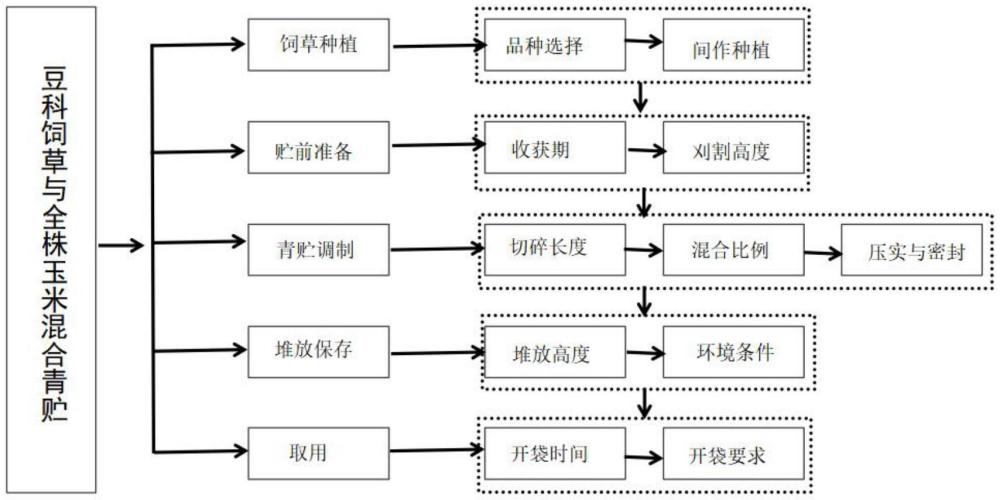 一種在間作系統(tǒng)中生產(chǎn)全株玉米與豆科飼草混合青貯的方法