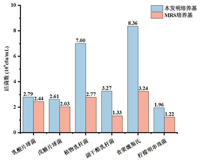 適用于釀酒中乳酸菌增殖的通用培養(yǎng)基及其制備方法和應用與流程