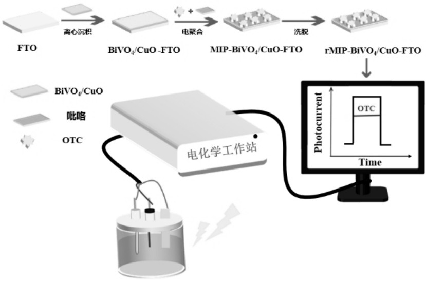 一種光電化學(xué)傳感器、制備方法及應(yīng)用