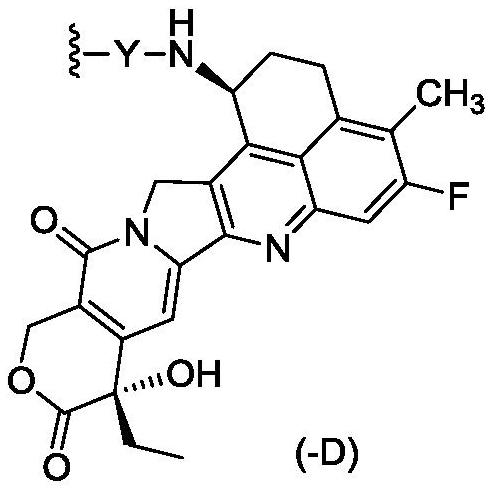 依喜替康類似物的配體-藥物偶聯(lián)物其制備方法和應(yīng)用與流程