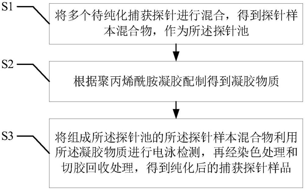 一種生物素修飾捕獲探針的純化方法與流程