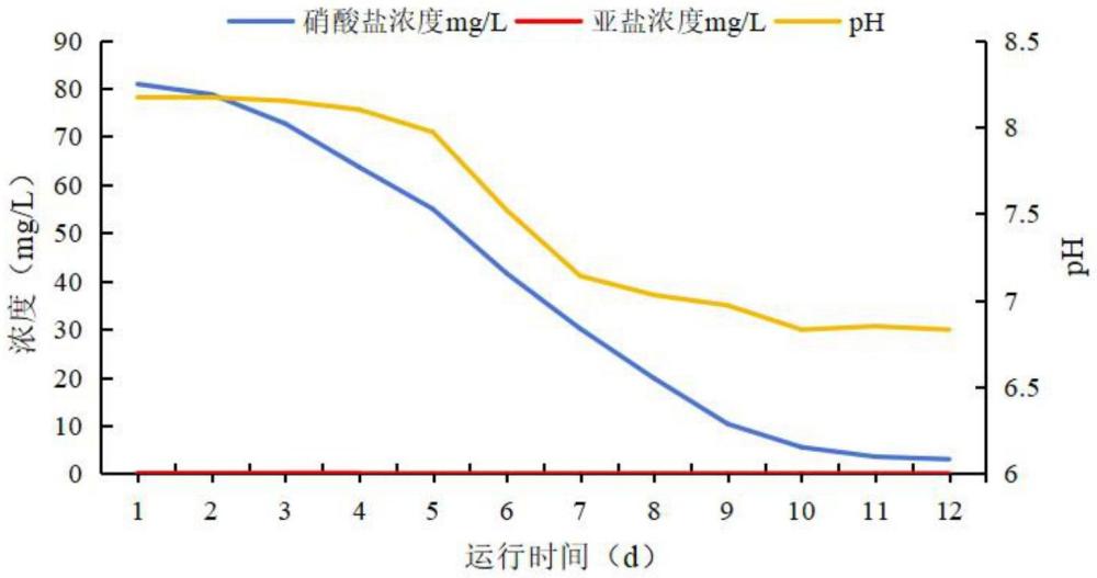 一種基于海水魚缸水質(zhì)凈化的硫自養(yǎng)載體及其制備方法和應(yīng)用與流程