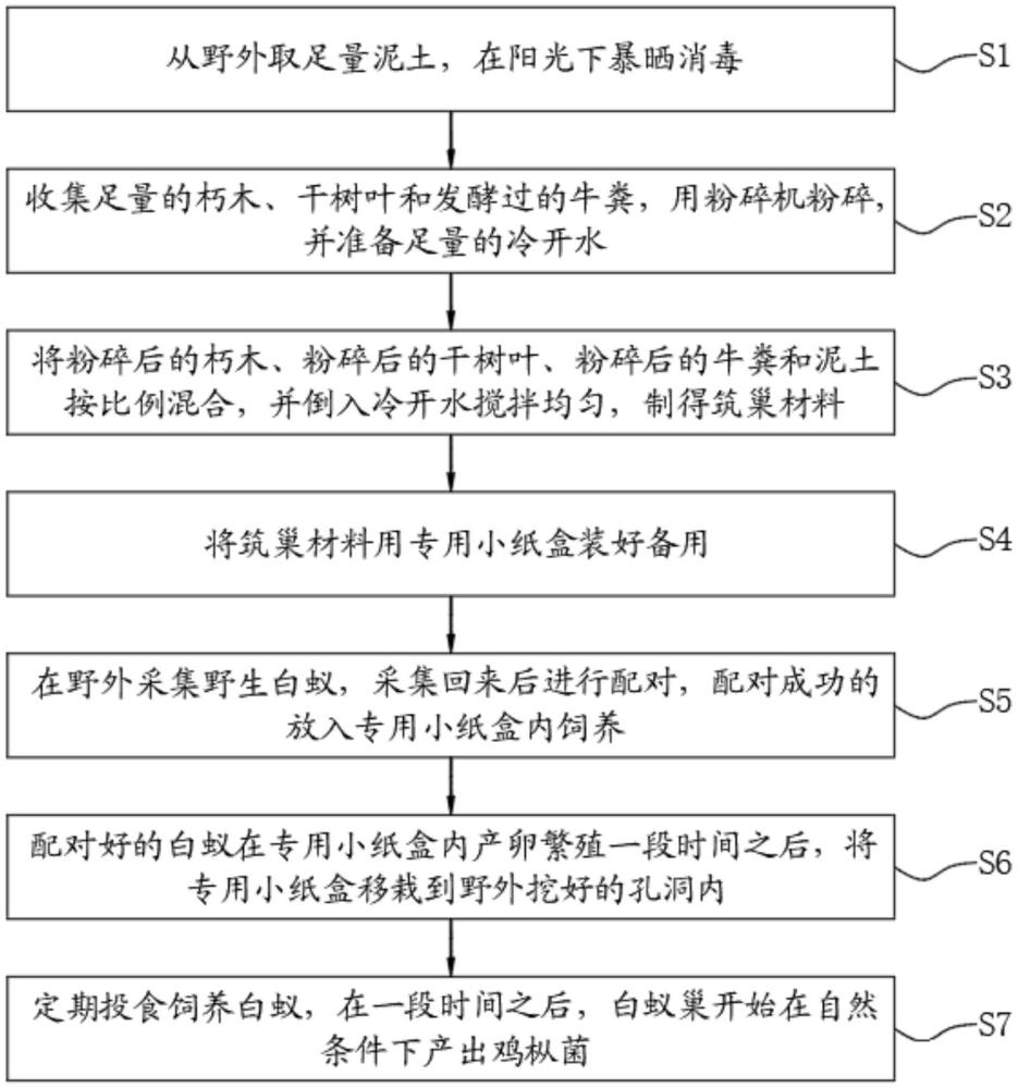 人工培植白蟻種植雞樅的方法及設(shè)備與流程