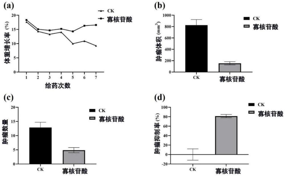 核酸在制備防治惡液質(zhì)的藥物中的應(yīng)用和施用方法與流程