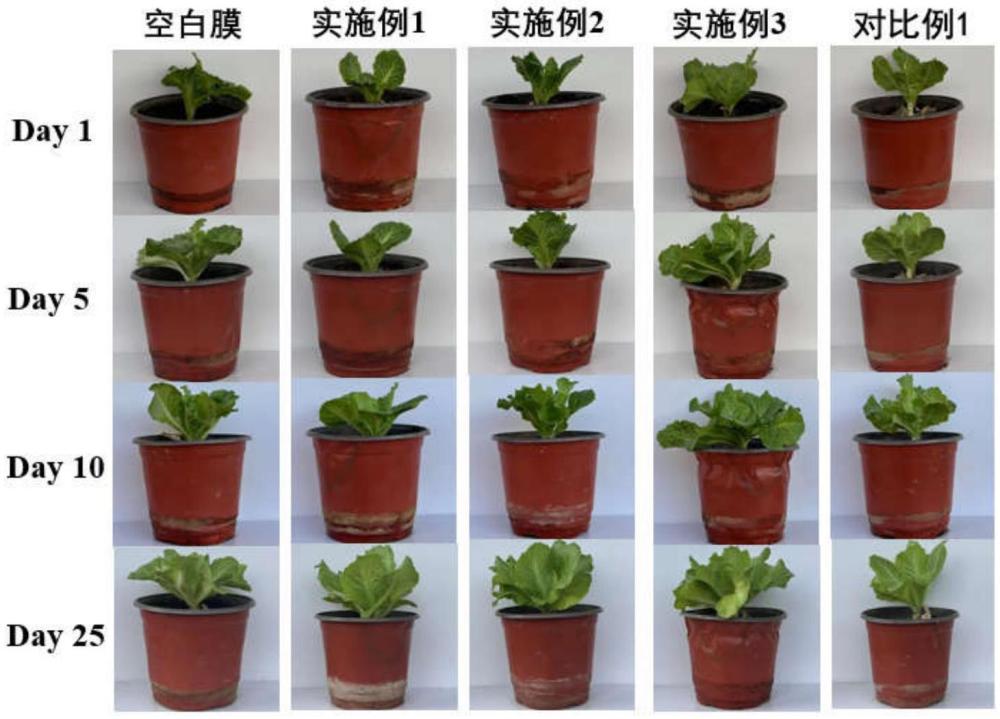 一種相容性改善的多功能型生物降解地膜及其制備方法