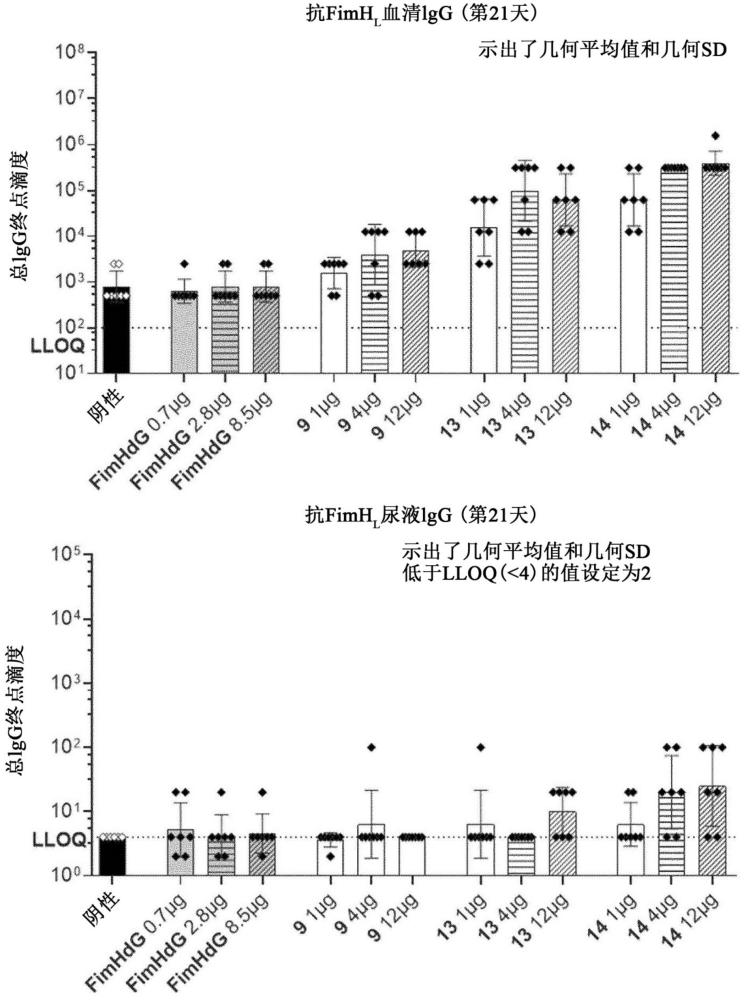 編碼大腸桿菌FimH抗原性多肽的基于核酸的疫苗的制作方法