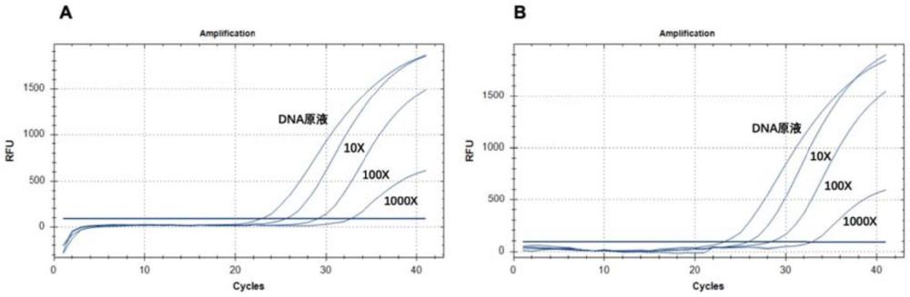 一種庫蚊新沃爾巴克氏體亞型及其檢測引物、檢測方法、檢測試劑盒