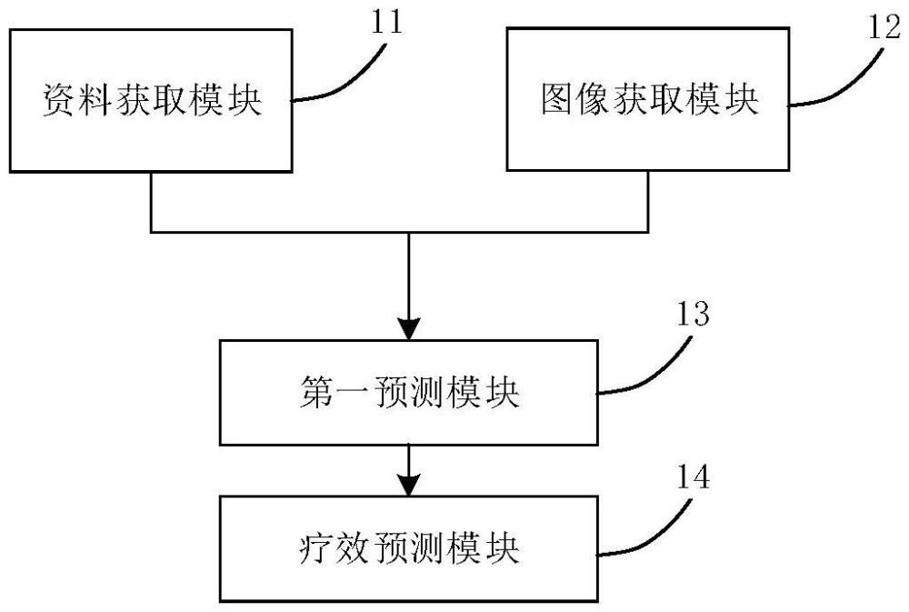 免疫治療療效預測系統(tǒng)及方法