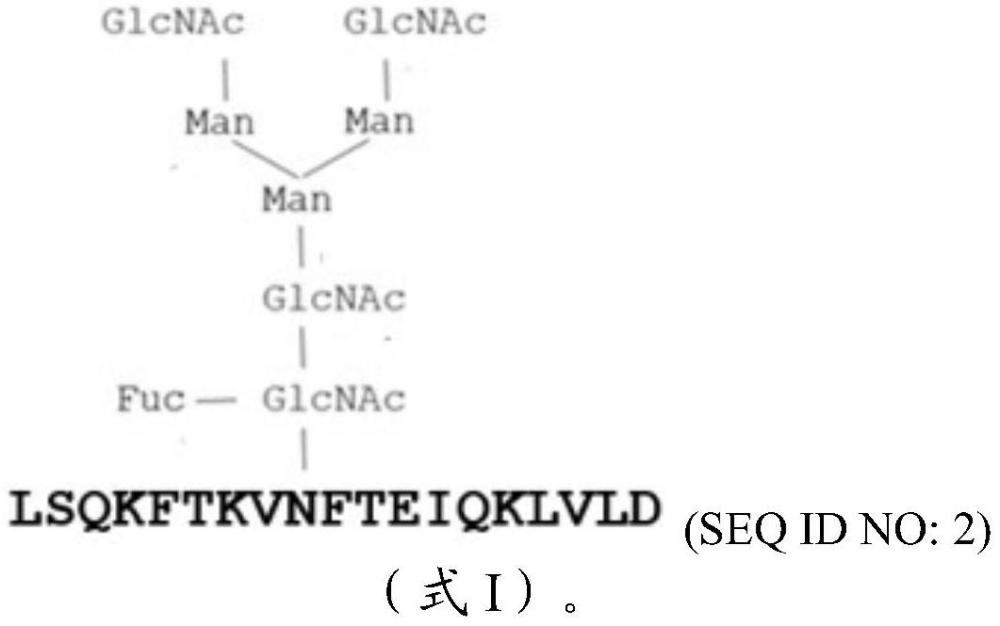 與α-1,6-核心-巖藻糖基化的甲胎蛋白特異性結(jié)合的高親和力抗體的制作方法