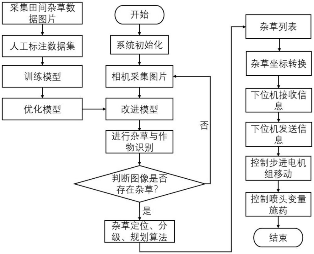 基于卷積神經(jīng)網(wǎng)絡(luò)的雜草識別方法、系統(tǒng)與噴藥除草中的應(yīng)用