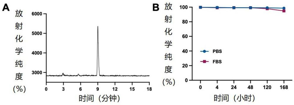 化合物DOTA-HX2-DZ及其應(yīng)用