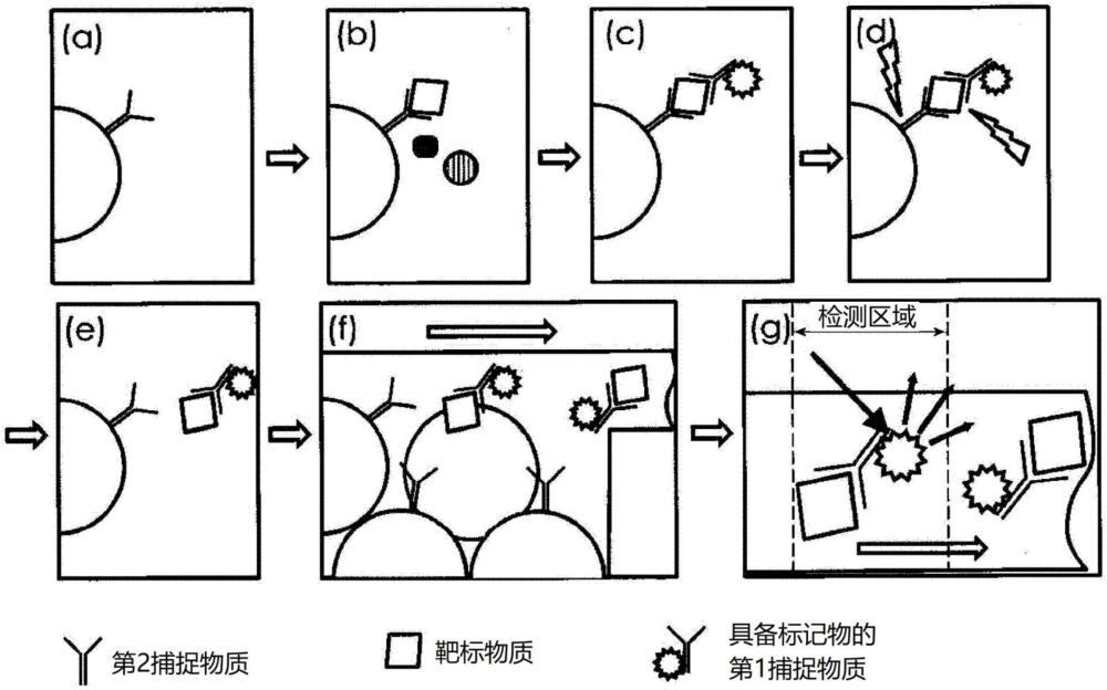 靶標(biāo)物質(zhì)的檢測方法和試劑與流程