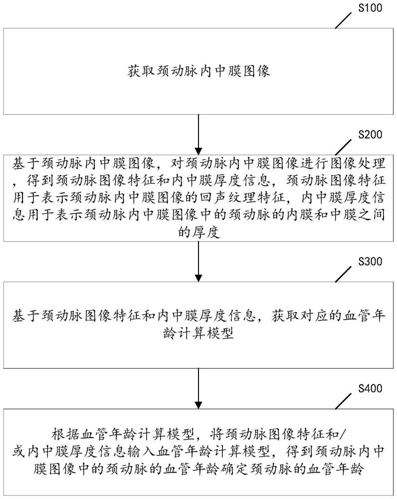 確定血管年齡的方法、裝置、電子設備及可讀介質(zhì)與流程