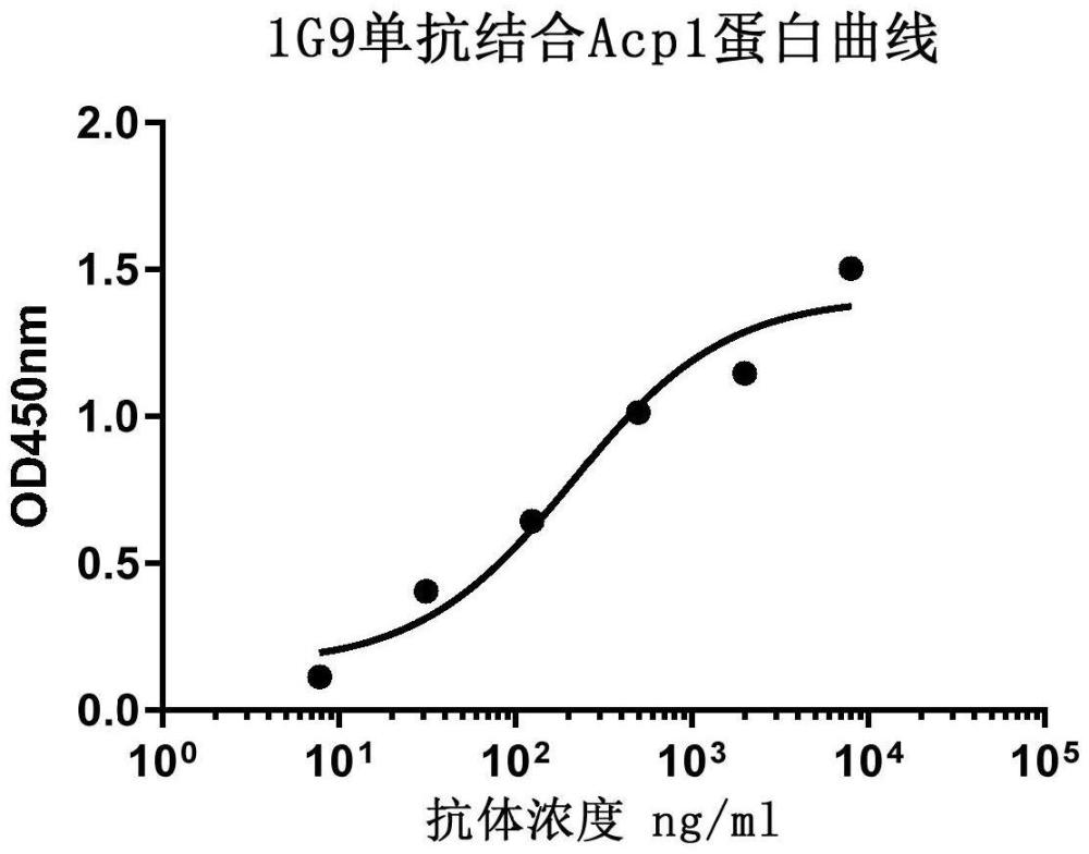 抗人Acp1蛋白的兔單克隆抗體及其應(yīng)用和產(chǎn)品的制作方法