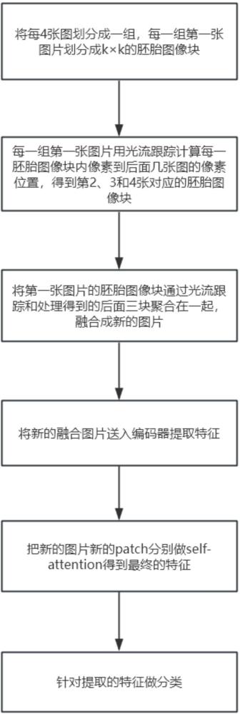 細(xì)胞分裂檢測(cè)方法、電子設(shè)備及存儲(chǔ)介質(zhì)與流程