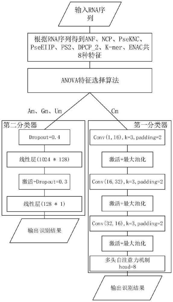 基于特征選擇和深度神經(jīng)網(wǎng)絡(luò)的2OM甲基化修飾位點識別方法及系統(tǒng)