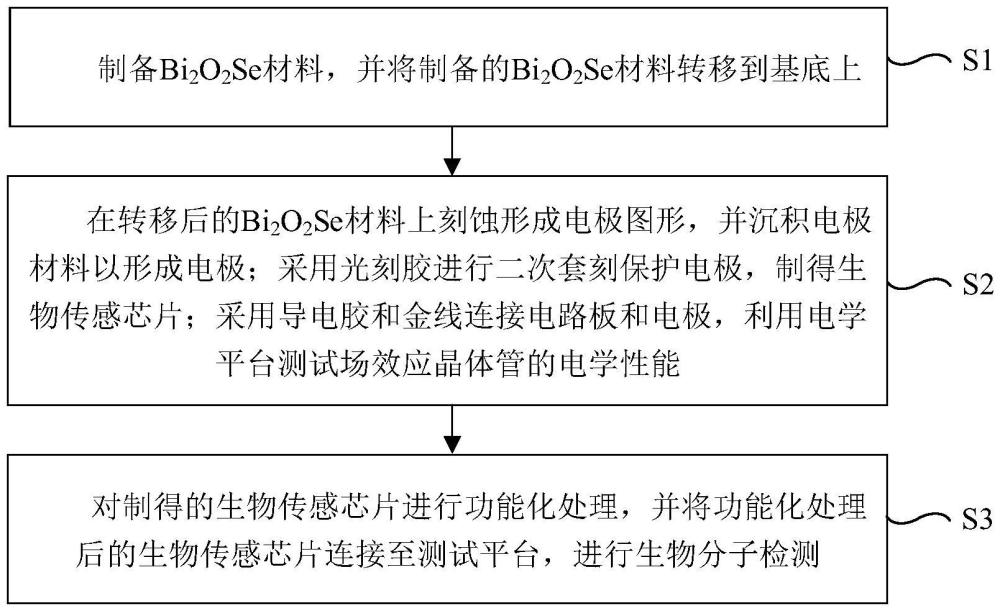 基于Bi2O2Se材料的場效應(yīng)晶體管生物傳感器及制備方法與應(yīng)用