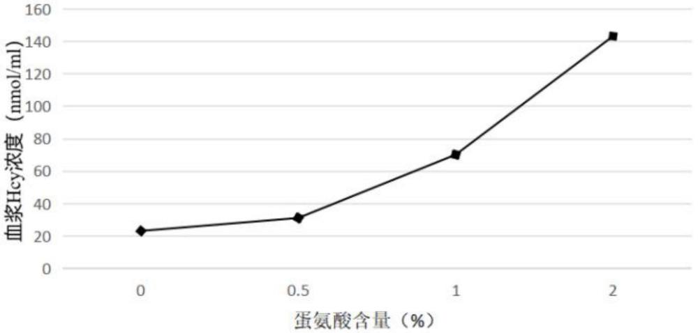 一種改善同型半胱氨酸代謝的組合物及其制備方法與應(yīng)用與流程