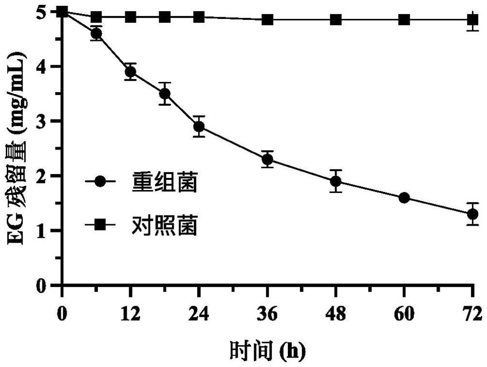 一種以PET水解液為原料高產(chǎn)PET降解酶的基因工程菌及應(yīng)用