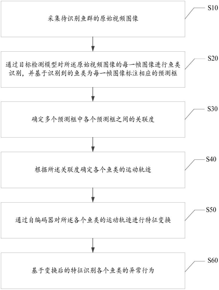 魚類異常行為診斷方法及裝置與流程