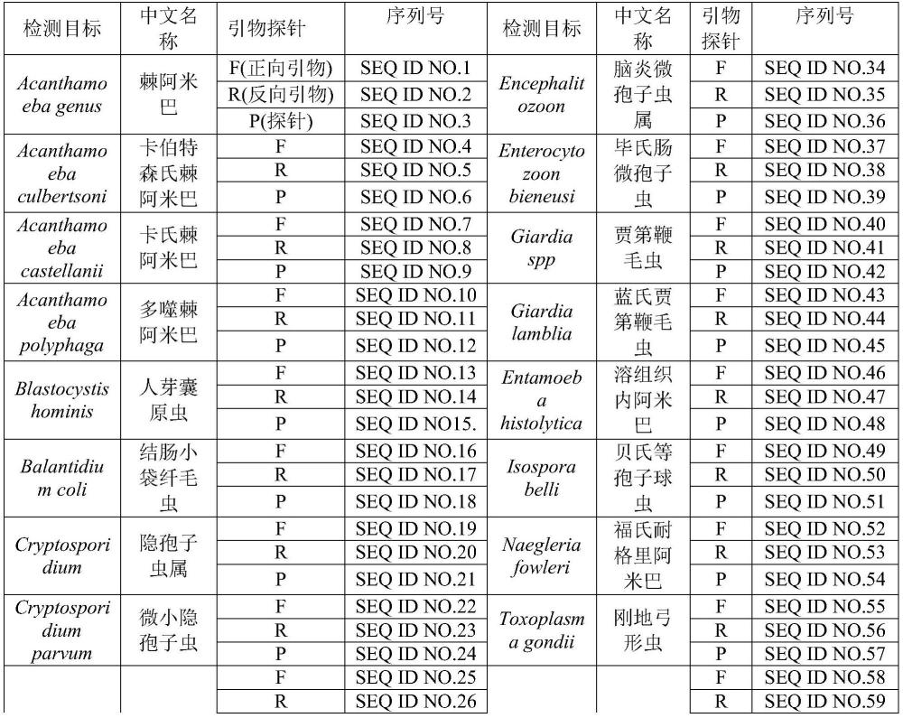 一種介水原蟲和/或蠕蟲的高通量分子檢測方法