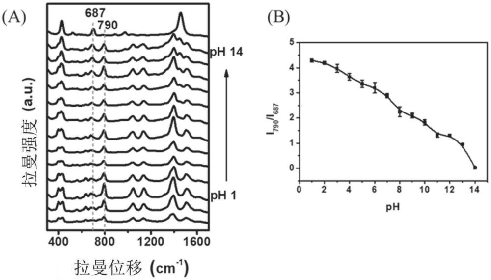 一种宽范围抗干扰在线pH监测的表面增强拉曼散射传感器的制备方法