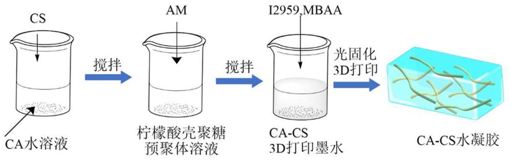 粘附、透明、可光固化3D打印的檸檬酸殼聚糖水凝膠的制備及應(yīng)用