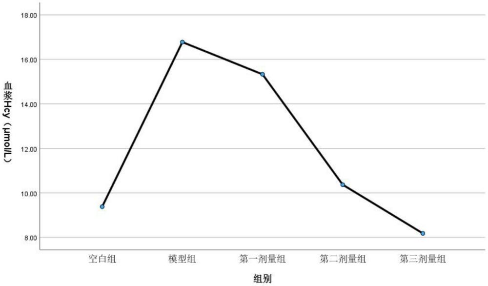 一種用于降低同型半胱氨酸的組合物及其制備方法與流程