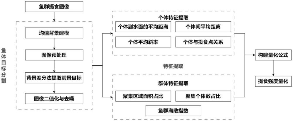 一種魚群攝食強(qiáng)度量化方法及系統(tǒng)