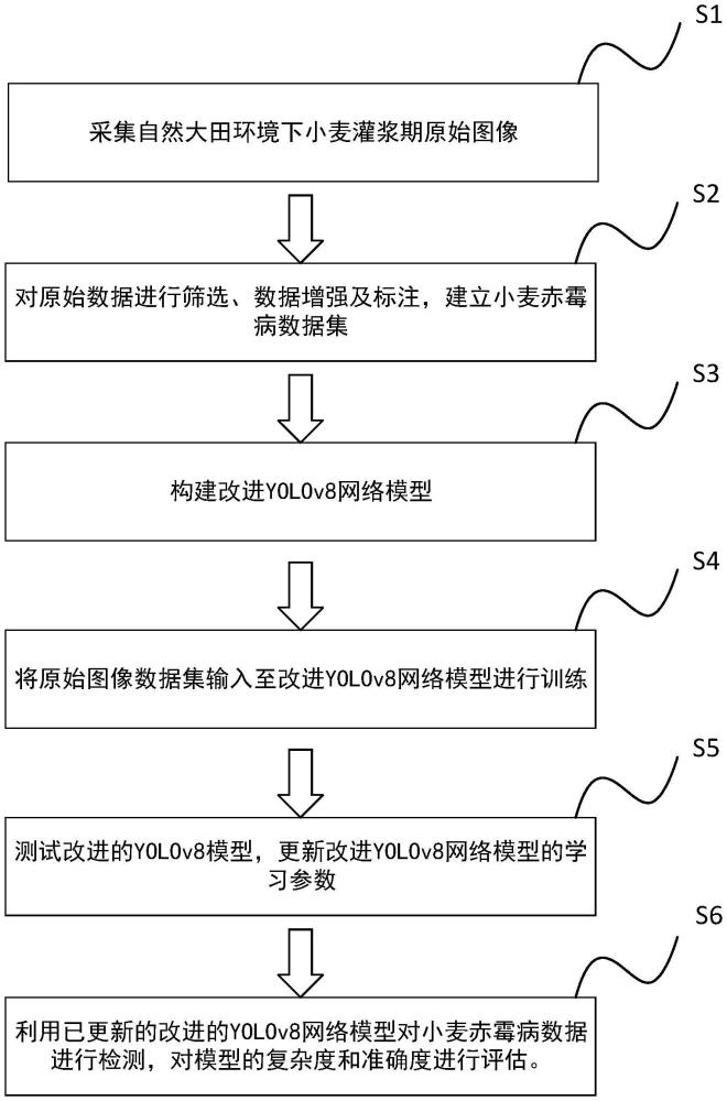 基于無(wú)人機(jī)遙感和改進(jìn)YOLOv8的小麥赤霉病檢測(cè)方法及系統(tǒng)