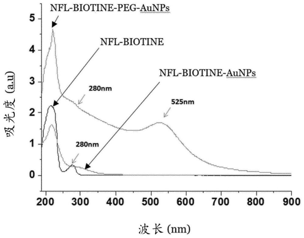 包含至少一种金属盐和至少一种肽的纳米颗粒的制作方法