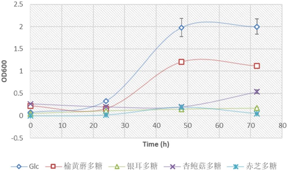 一種榆黃蘑多糖及其制備方法與應(yīng)用