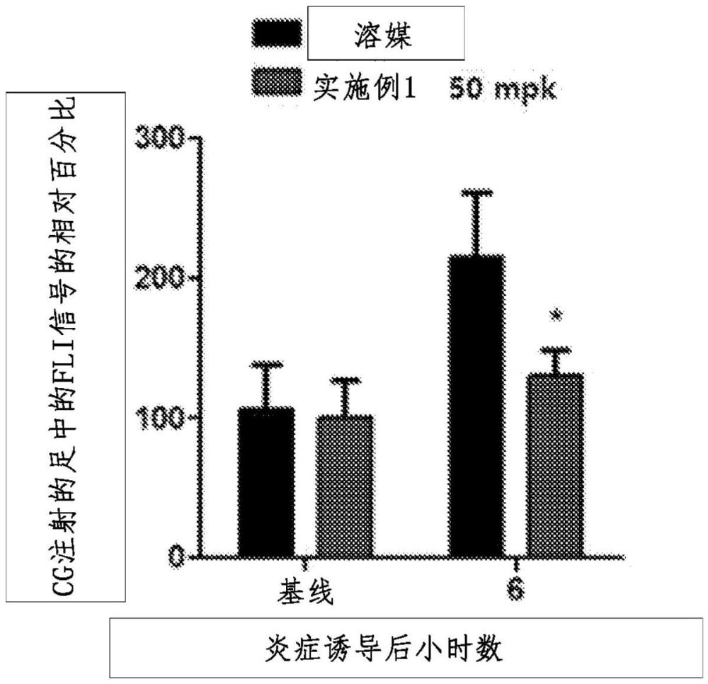 噻二唑化合物及包含其的用于預(yù)防或治療炎癥性疾病的藥物組合物的制作方法