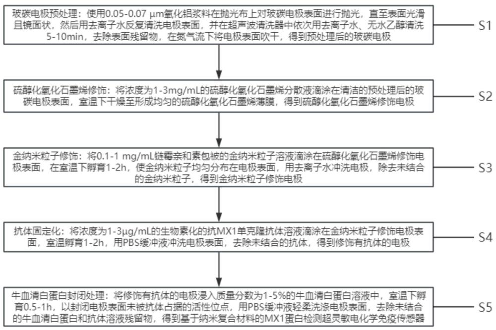 一種基于納米復(fù)合材料的MX1蛋白檢測(cè)超靈敏電化學(xué)免疫傳感器的制備方法及應(yīng)用