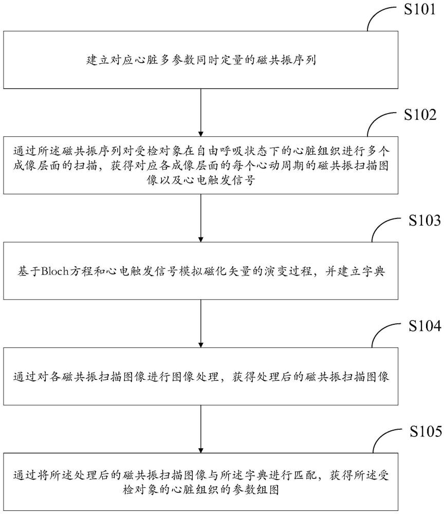 自由呼吸心臟多參數(shù)同時定量磁共振成像方法、裝置、終端及介質(zhì)