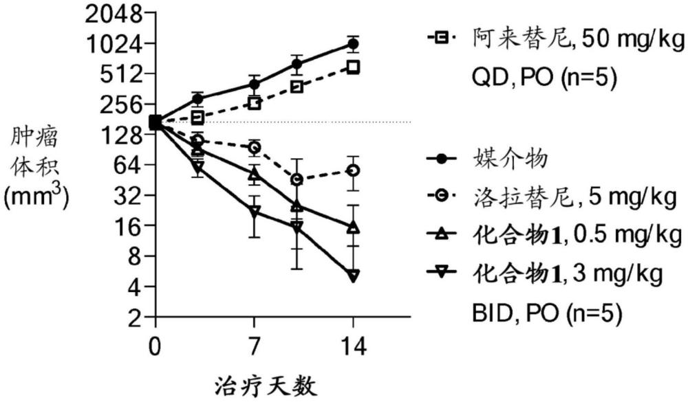 使用(19R)-5-氯-3-乙基-16-氟-10,19-二甲基-20-氧雜-3,4,10,11,23-五氮雜戊環(huán)[19.3.1.02,6.08,12.013,18]二十五碳-1(24),2(6),4,8,11,13,15,17,21(25),22-癸烯-22-胺治療實體腫瘤的方法與流程