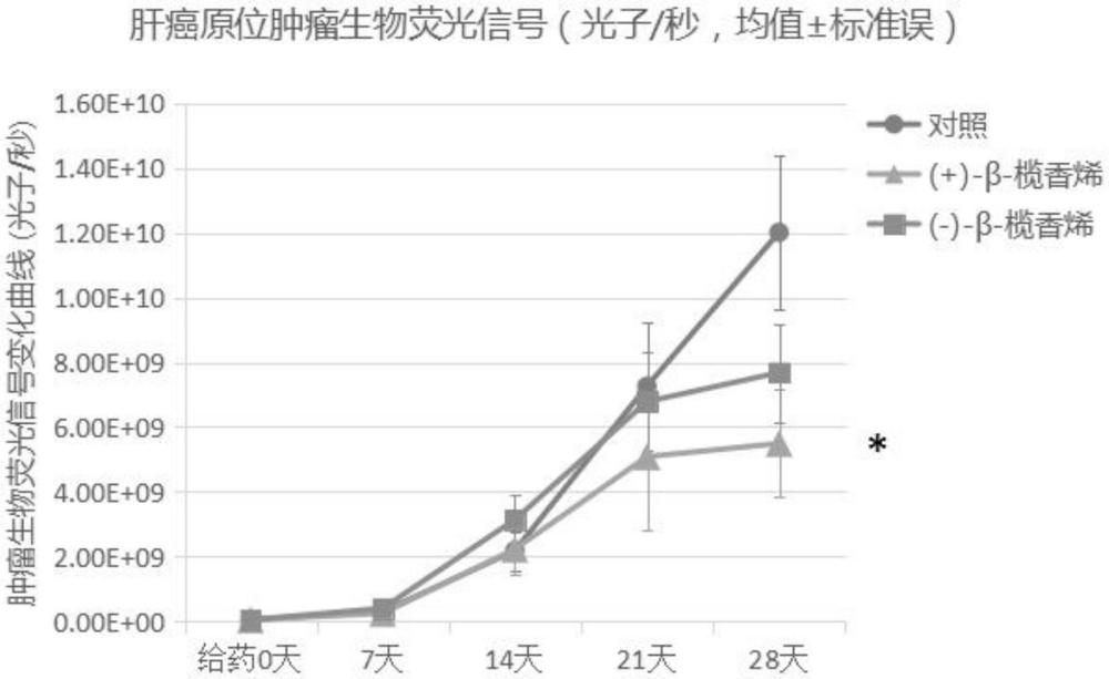 一種化合物在用于治療腫瘤中的用途的制作方法