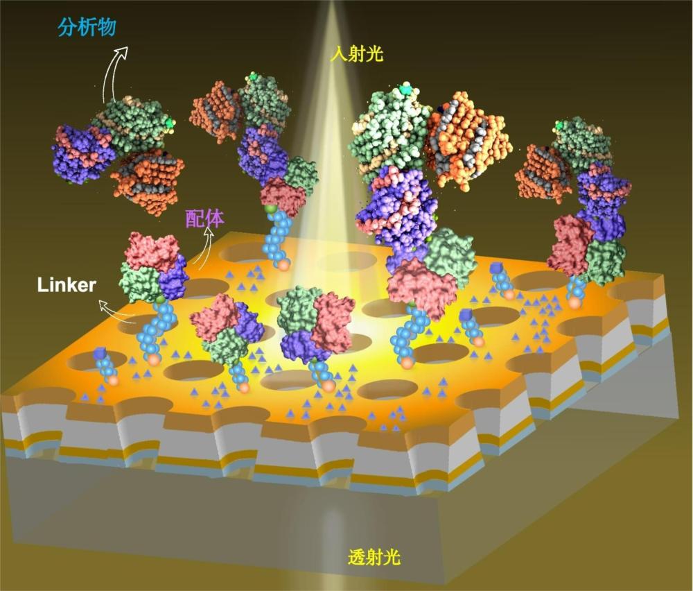 一種新型超表面SPR芯片及其制備方法與流程